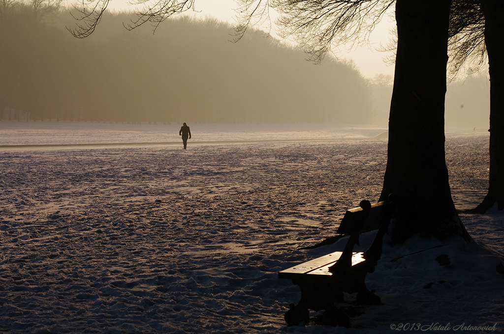 Album "Bild ohne Titel" | Fotografiebild "Winter. Weihnachtsferien" von Natali Antonovich im Sammlung/Foto Lager.