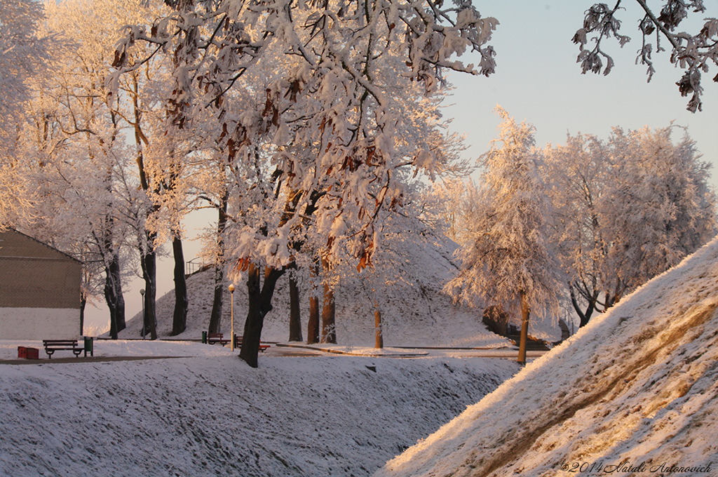 Album "Image sans titre" | Image de photographie "Hiver. Vacances de Noël" de Natali Antonovich en photostock.