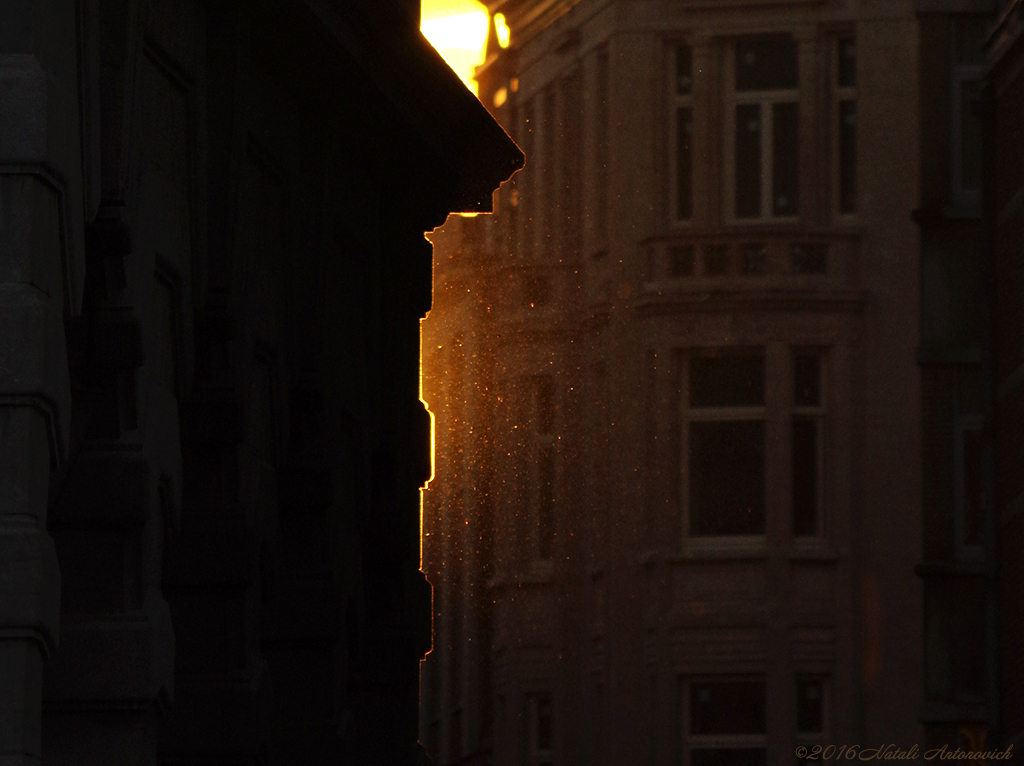 Album "Afbeelding zonder titel" | Fotografie afbeelding " Brussel" door Natali Antonovich in Archief/Foto Voorraad.
