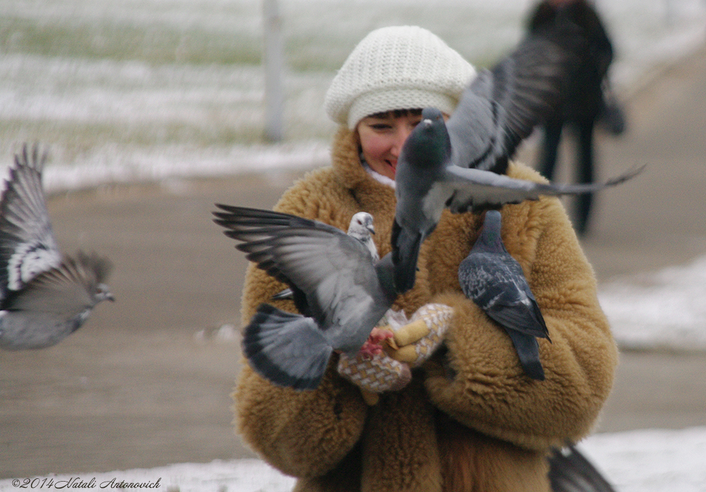 Album "Natalya Hrebionka" | Fotografiebild "Winter. Weihnachtsferien" von Natali Antonovich im Sammlung/Foto Lager.