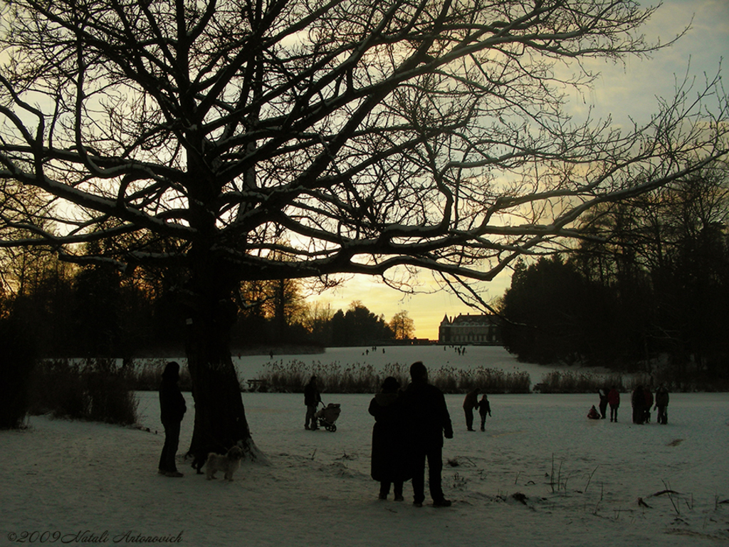 Album "Afbeelding zonder titel" | Fotografie afbeelding "Winter. Kerstvakantie" door Natali Antonovich in Archief/Foto Voorraad.