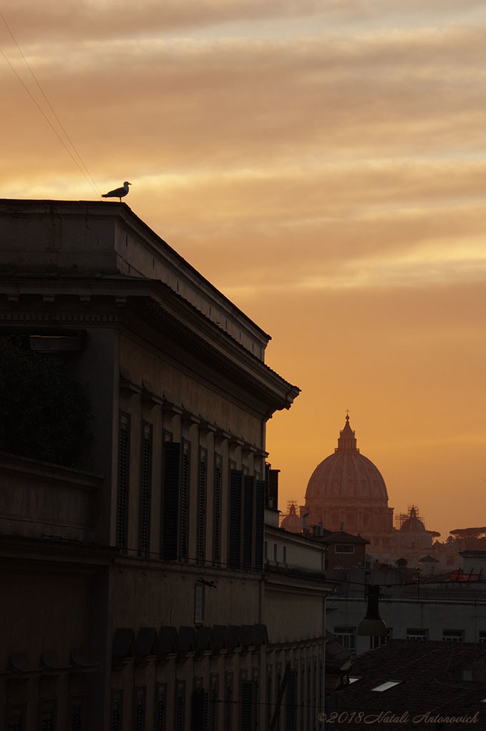 Album "Image sans titre" | Image de photographie "Rome " de Natali Antonovich en photostock.