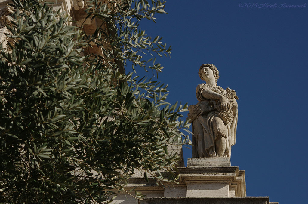 Album "Image sans titre" | Image de photographie "Rome " de Natali Antonovich en photostock.