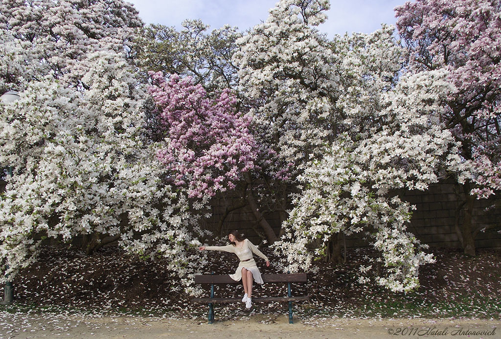 Image de photographie "Natalya Hrebionka" de Natali Antonovich | Photostock.