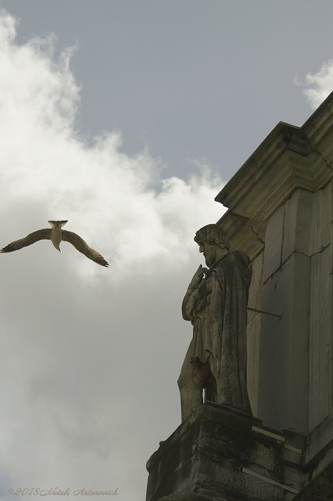 Album "Rome" | Image de photographie "Rome " de Natali Antonovich en photostock.