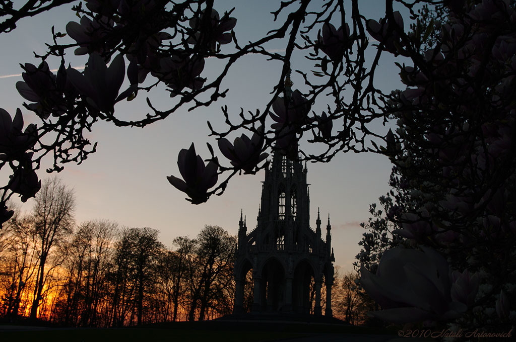 Album "Afbeelding zonder titel" | Fotografie afbeelding " Brussel" door Natali Antonovich in Archief/Foto Voorraad.