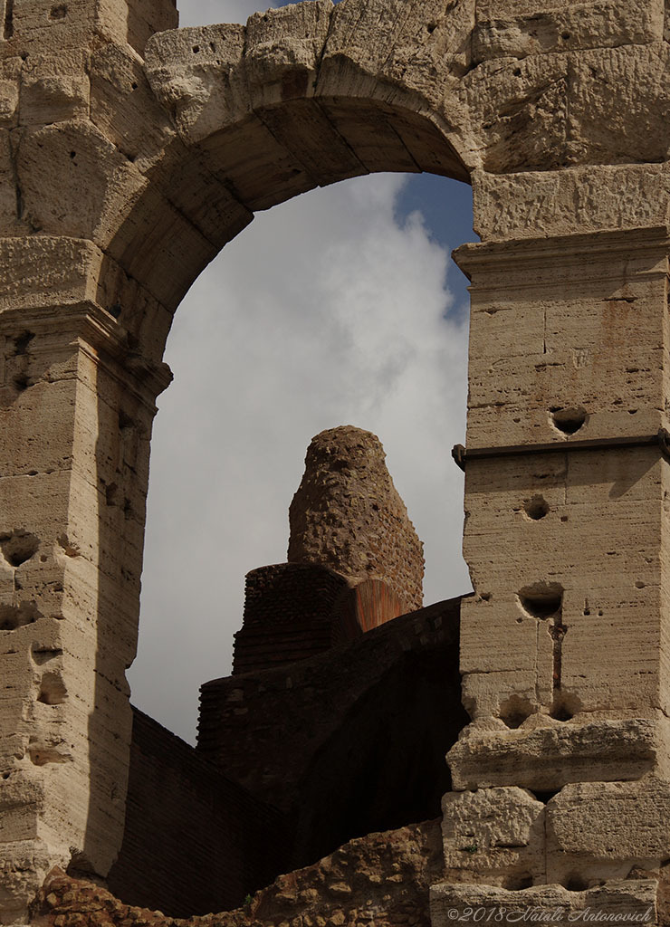 Album "Colosseum" | Fotografie afbeelding "Rome " door Natali Antonovich in Archief/Foto Voorraad.
