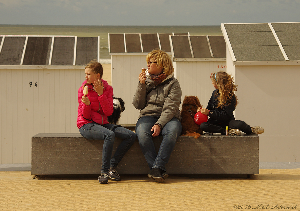Album  "Image without title" | Photography image "Belgian Coast" by Natali Antonovich in Photostock.