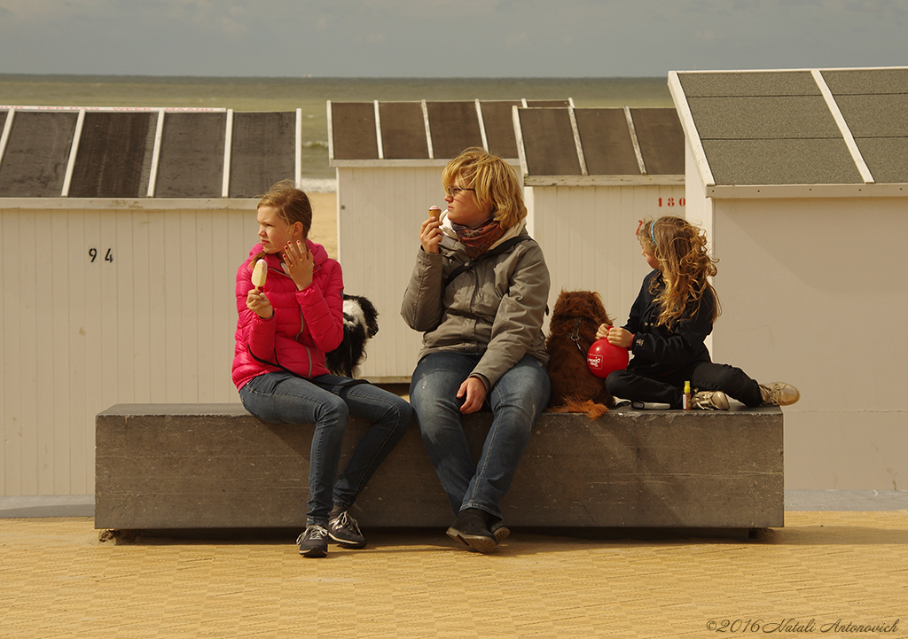 Album "Afbeelding zonder titel" | Fotografie afbeelding "Belgische Kust" door Natali Antonovich in Archief/Foto Voorraad.