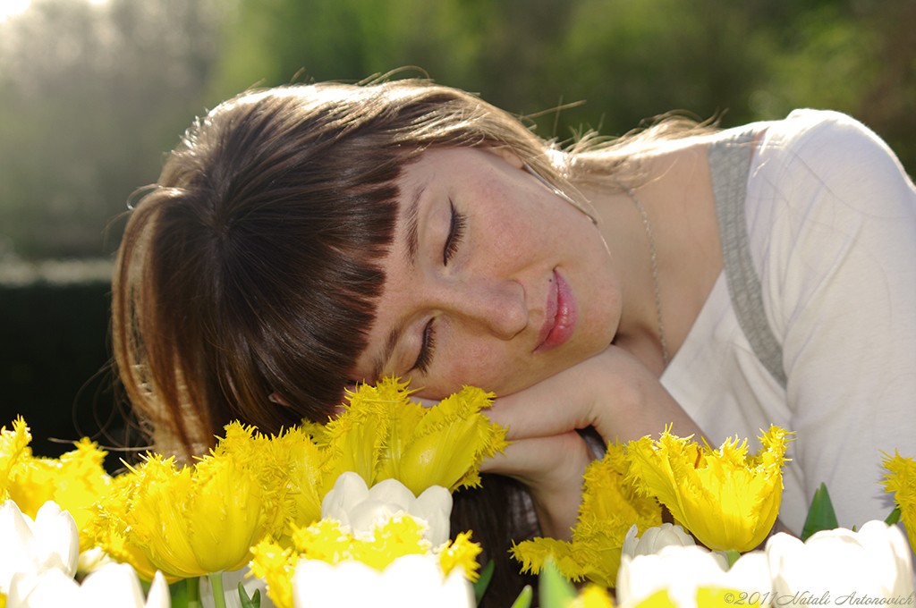 Album  "Natalya Hrebionka" | Photography image "Flowers" by Natali Antonovich in Photostock.