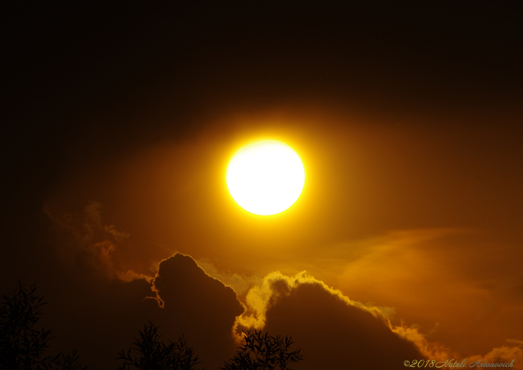 Album "Sun" | Fotografiebild "Celestial mood" von Natali Antonovich im Sammlung/Foto Lager.