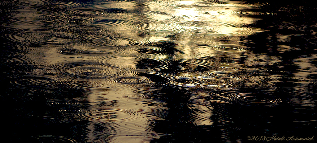 Album "Rain" | Fotografie afbeelding "Water Gravitation" door Natali Antonovich in Archief/Foto Voorraad.