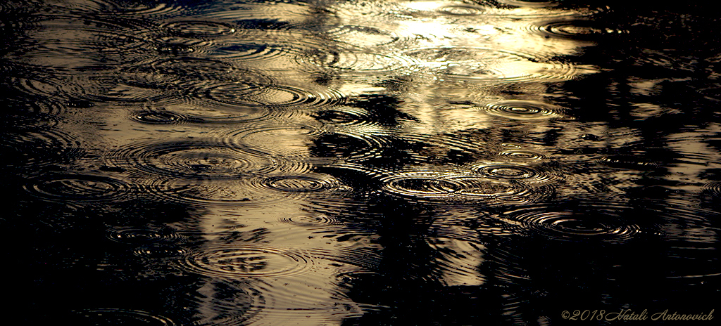 Image de photographie "Rain" de Natali Antonovich | Photostock.