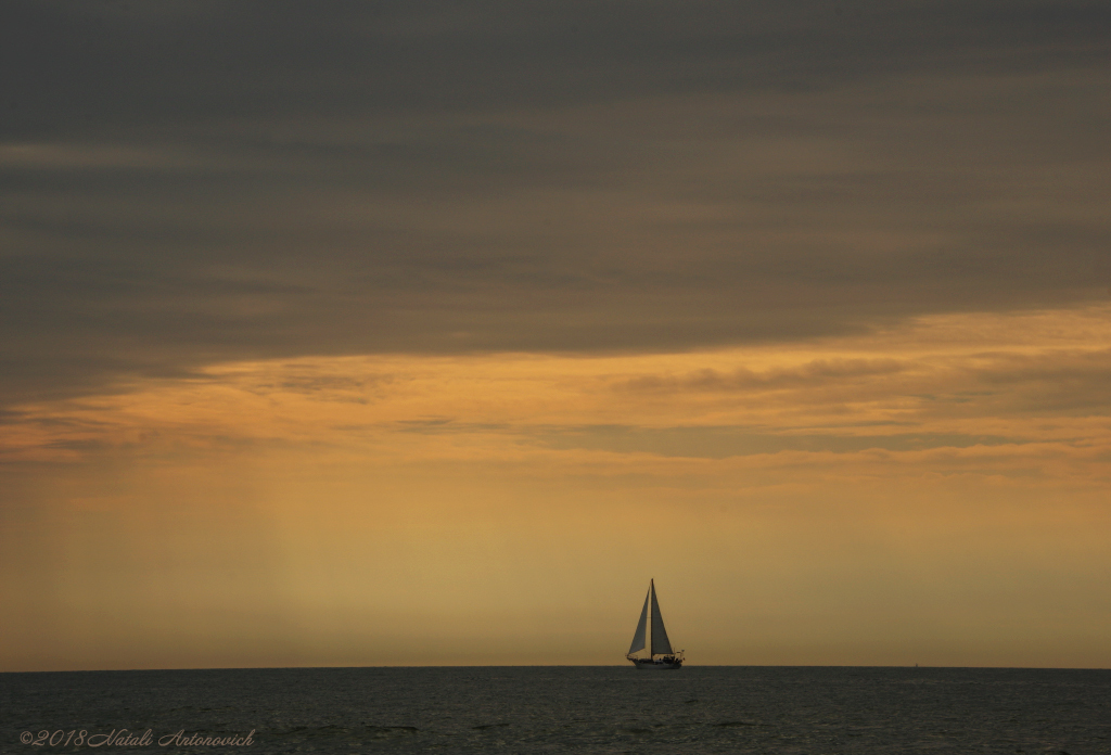 Fotografie afbeelding "Belgian Coast" door Natali Antonovich | Archief/Foto Voorraad.