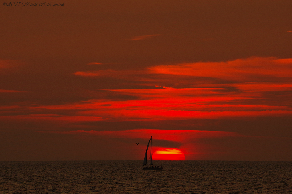 Fotografie afbeelding "Belgian Coast" door Natali Antonovich | Archief/Foto Voorraad.