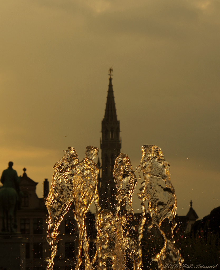 Album "Meeting" | Image de photographie "Belgique" de Natali Antonovich en photostock.