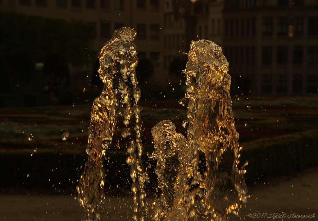 Photography image "saunter" by Natali Antonovich | Photostock.