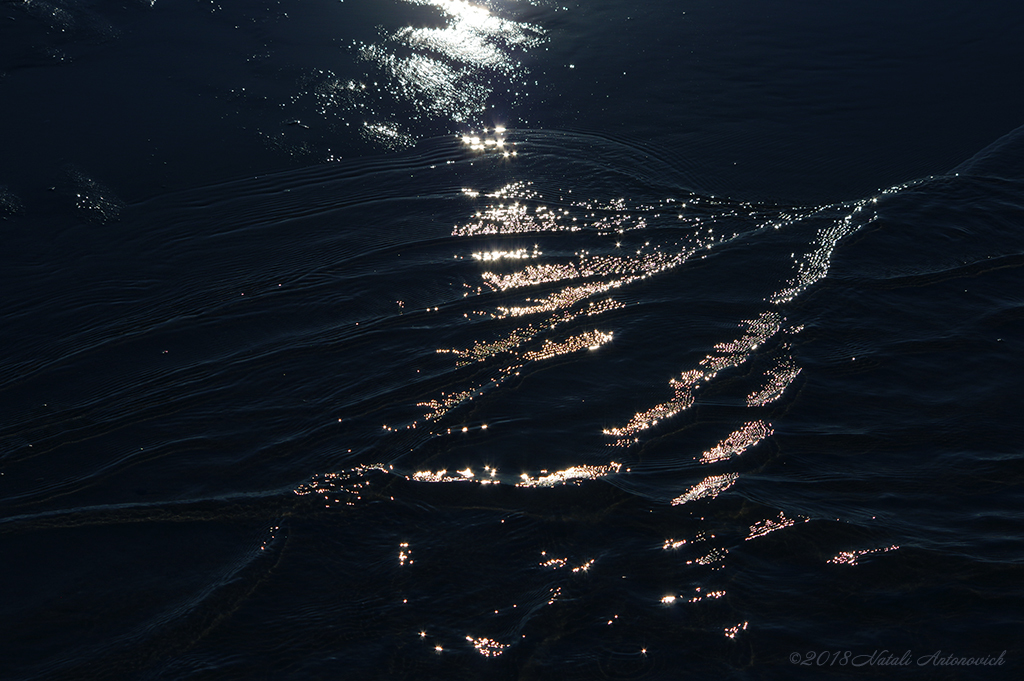 Album "Sea mystery 1" | Image de photographie "Water Gravitation" de Natali Antonovich en éditions limitées.
