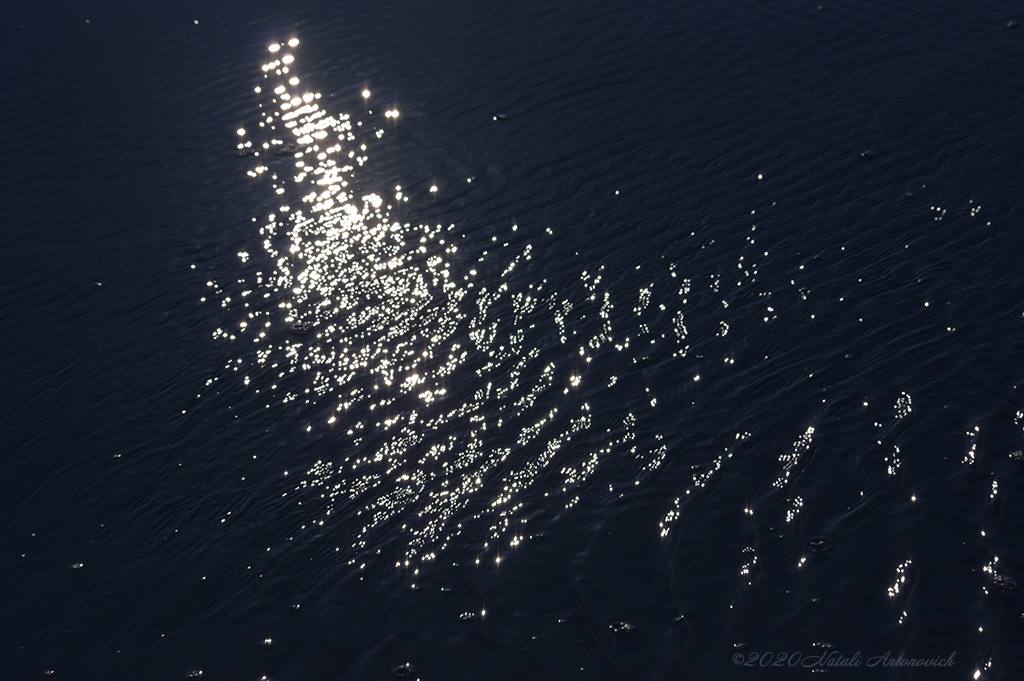 Album "ABCD" | Fotografie Bild "Sea mystery 3" von Natali Antonovich in limitierter Auflage.