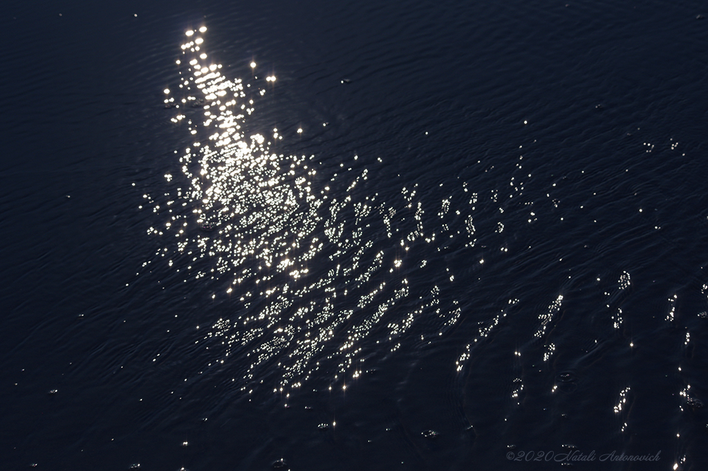 Album "Sea mystery 3" | Image de photographie "Parallèles" de Natali Antonovich en éditions limitées.