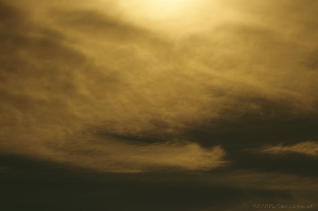 Photography image "Image without title" by Natali Antonovich | Photostock.