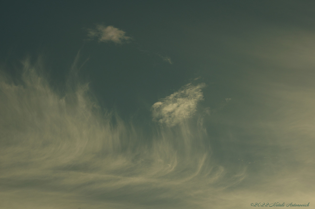 Photography image "Image without title" by Natali Antonovich | Photostock.