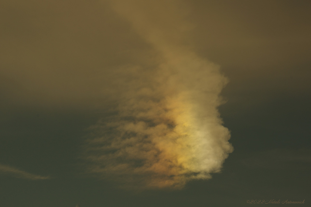 Photography image "Image without title" by Natali Antonovich | Photostock.