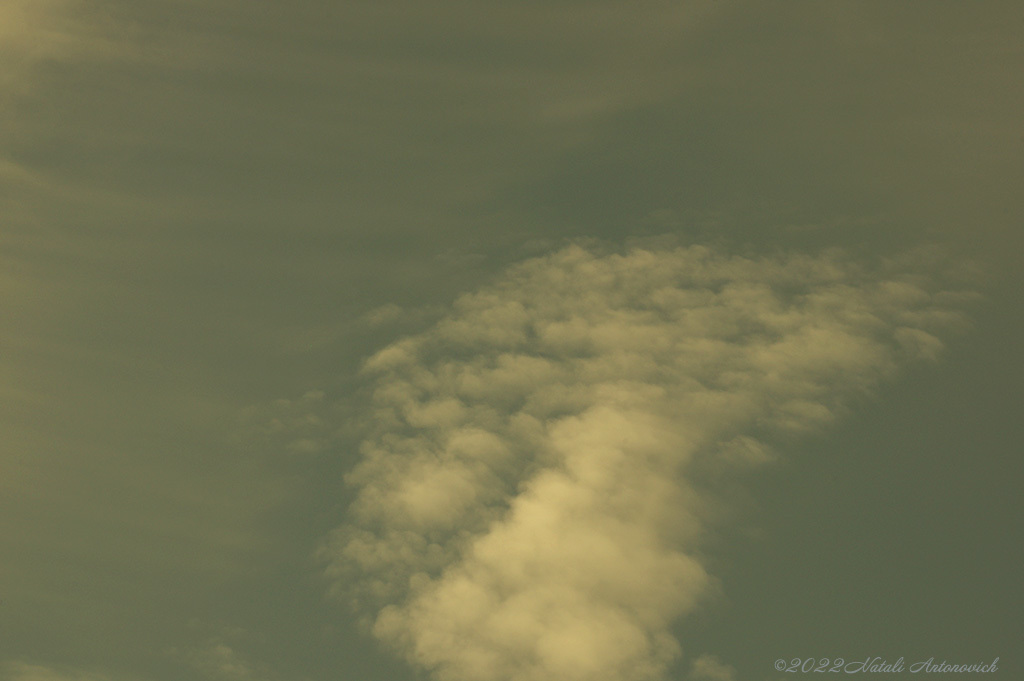 Photography image "Image without title" by Natali Antonovich | Photostock.