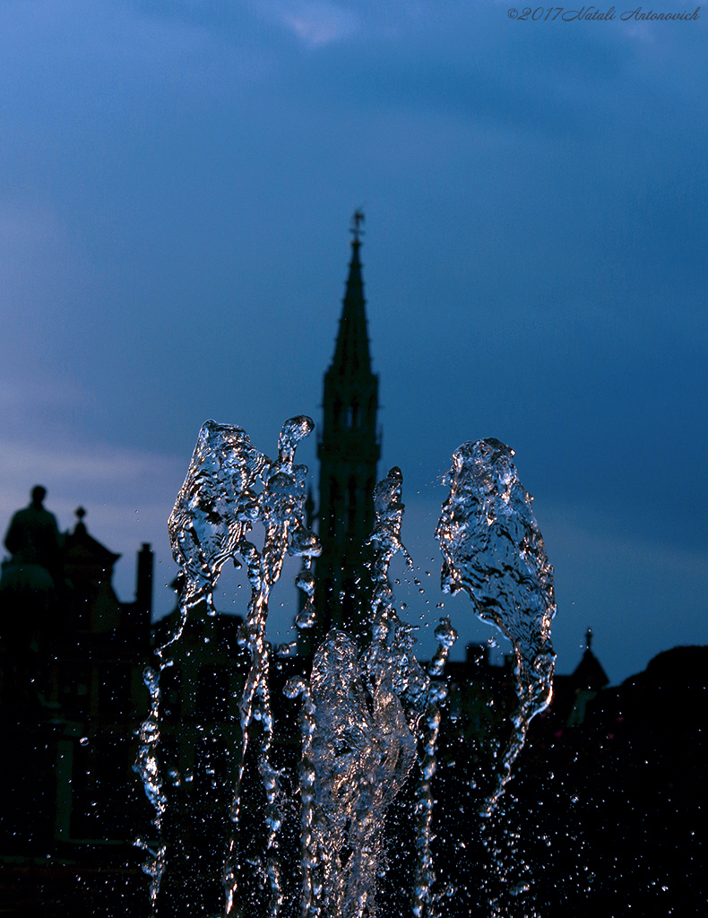 Album "Sweet Brussels" | Image de photographie "Water Gravitation" de Natali Antonovich en photostock.