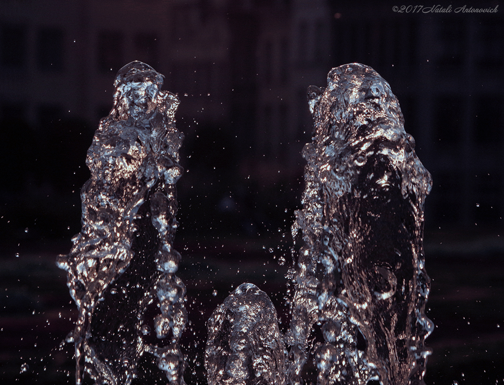 Album "Water Gravitation" | Fotografiebild "Parallelen" von Natali Antonovich im Sammlung/Foto Lager.