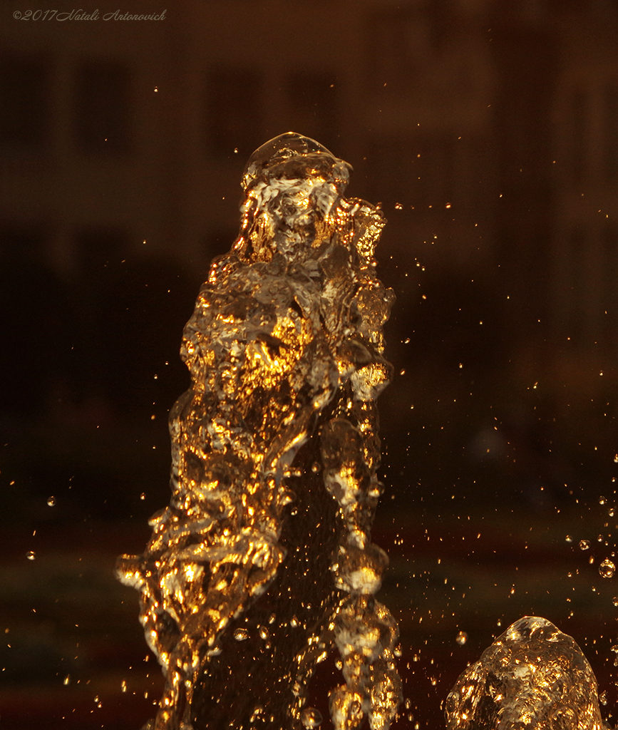 Альбом "Water Gravitation" | Фота выява "Паралелі" ад Natali Антонавіч у Архіве/Банке Фотаздымкаў.