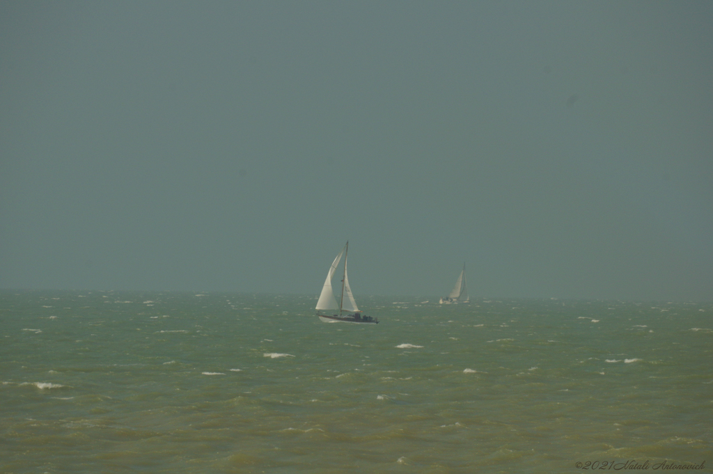 Photography image "Belgian coast" by Natali Antonovich | Photostock.