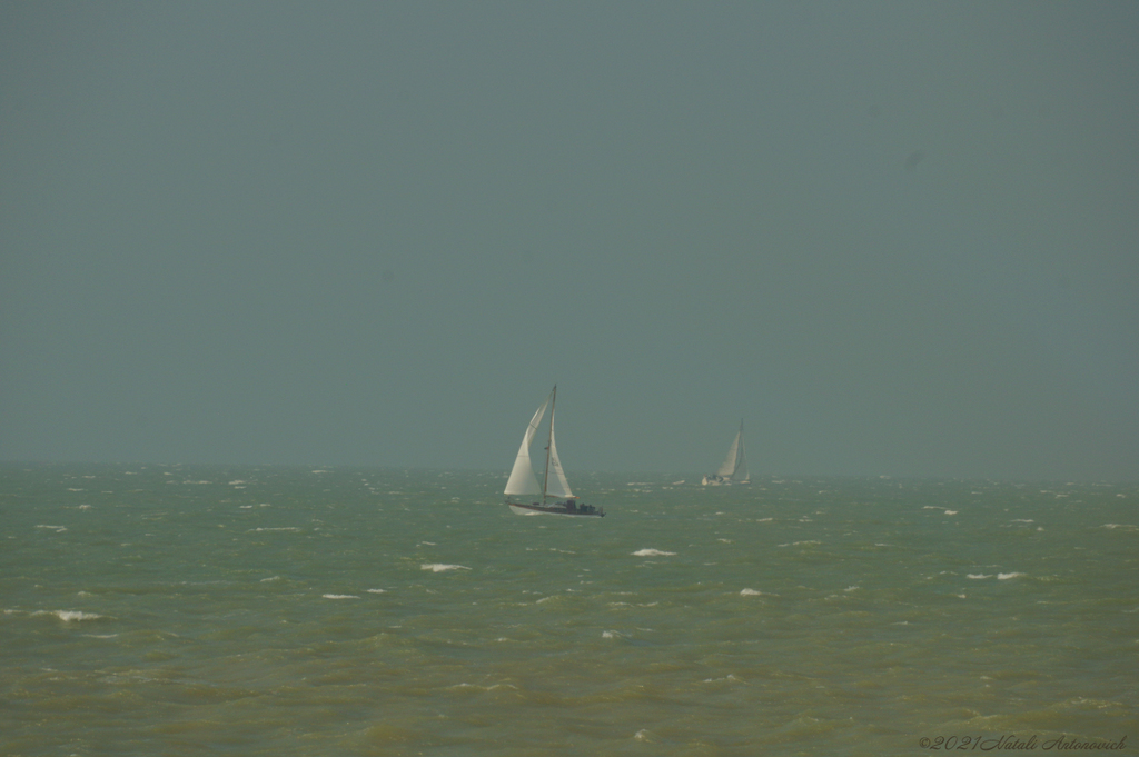 Album "Belgian coast" | Image de photographie "Belgique" de Natali Antonovich en photostock.