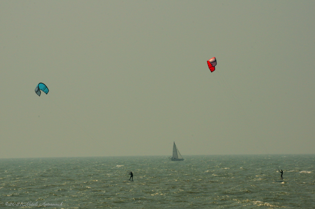 Fotografiebild "Belgian coast" von Natali Antonovich | Sammlung/Foto Lager.