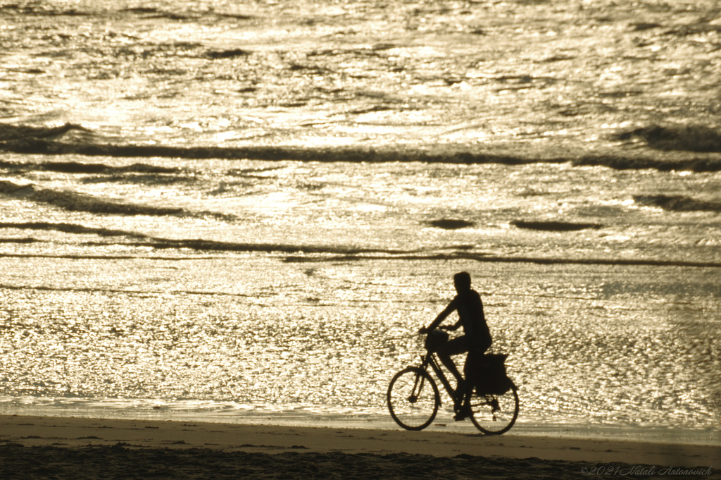 Album "Belgian coast" | Image de photographie "Belgique" de Natali Antonovich en photostock.