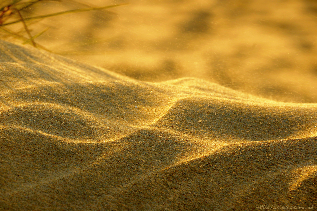 Album  "Belgian coast" | Photography image "Parallels" by Natali Antonovich in Photostock.