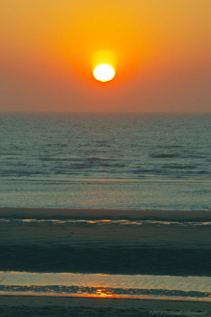 Fotografie afbeelding "Belgian coast" door Natali Antonovich | Archief/Foto Voorraad.