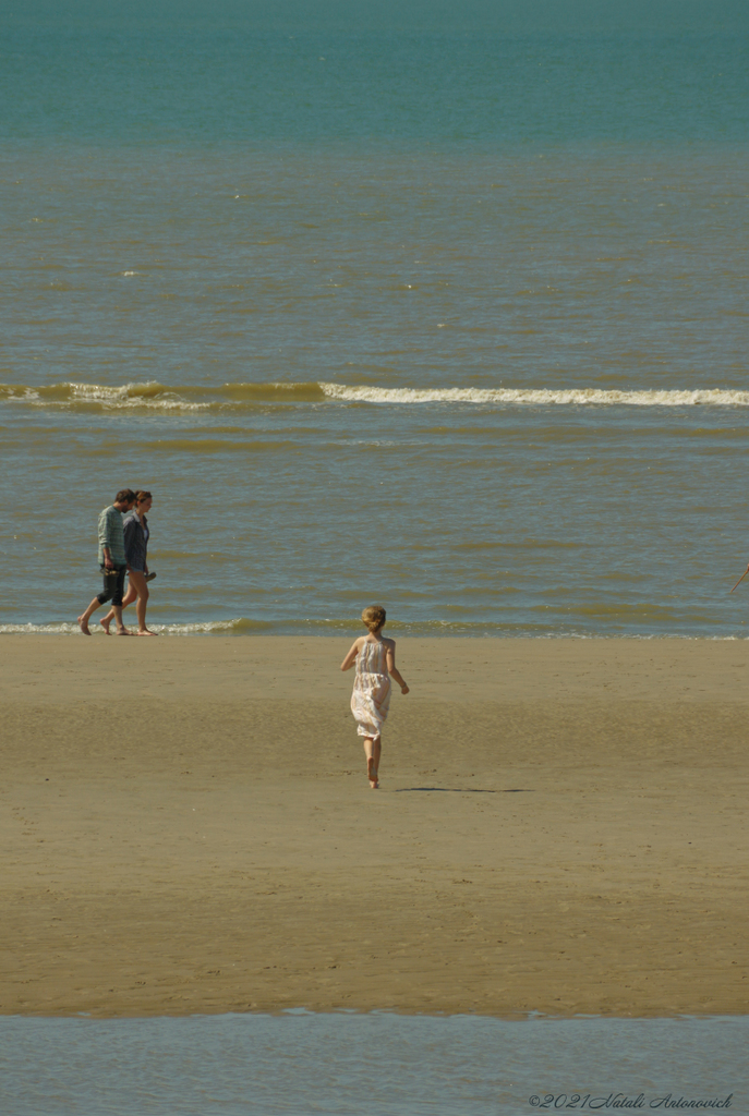 Album "Belgian coast" | Image de photographie "Water Gravitation" de Natali Antonovich en photostock.