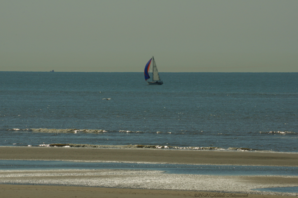 Album "Belgian coast" | Fotografiebild "Water Gravitation" von Natali Antonovich im Sammlung/Foto Lager.