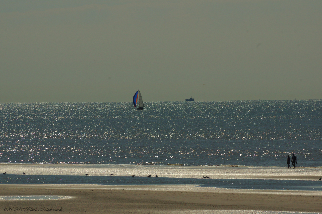 Album "Belgian coast" | Fotografiebild "Water Gravitation" von Natali Antonovich im Sammlung/Foto Lager.