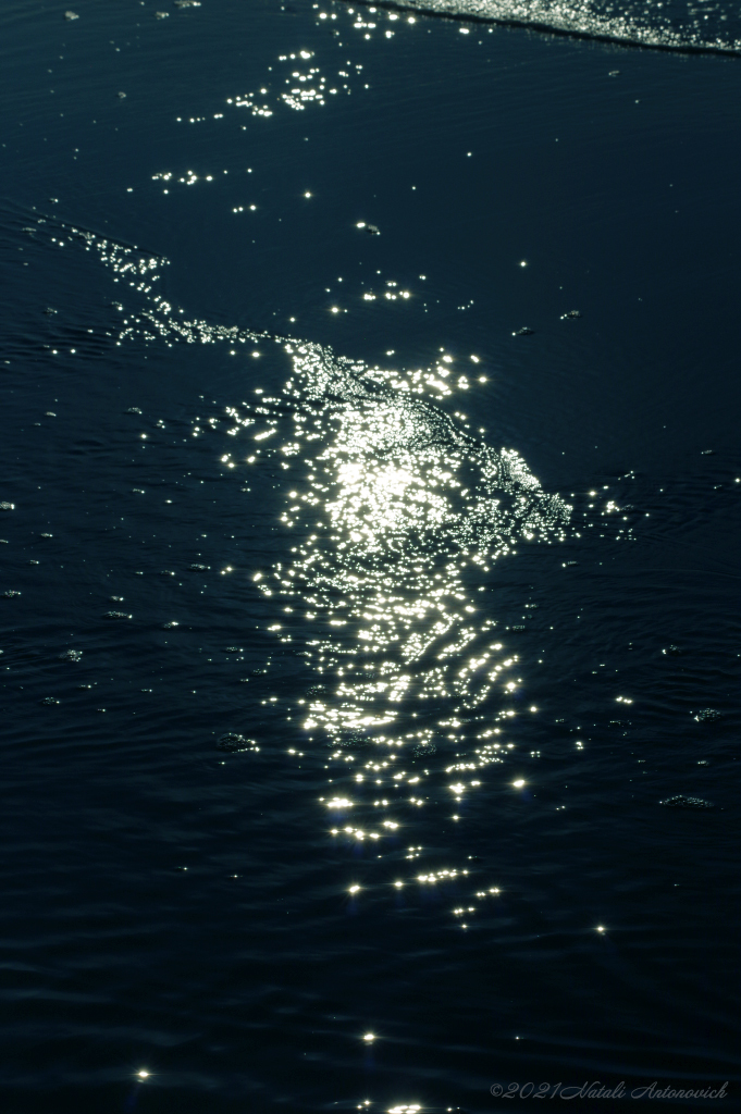 Album "Parallels" | Image de photographie "Water Gravitation" de Natali Antonovich en photostock.