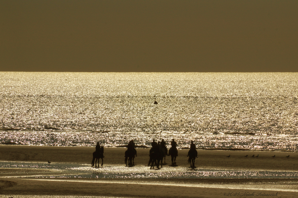 Fotografiebild "Belgian coast" von Natali Antonovich | Sammlung/Foto Lager.