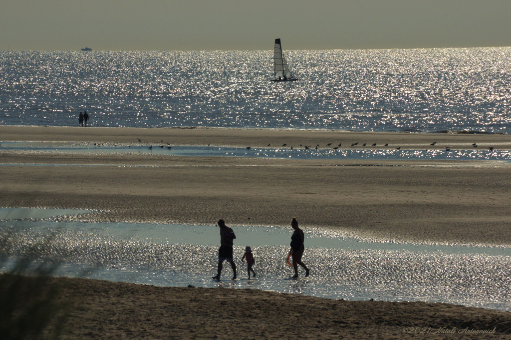 Album  "Belgian coast" | Photography image "Water Gravitation" by Natali Antonovich in Photostock.