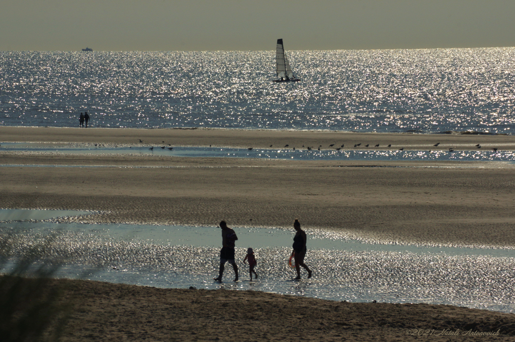 Album "Belgian coast" | Fotografiebild "Water Gravitation" von Natali Antonovich im Sammlung/Foto Lager.