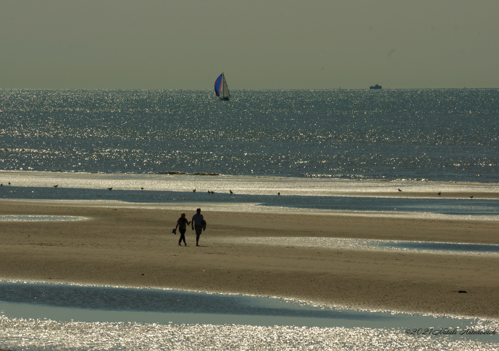 Photography image "Belgian coast" by Natali Antonovich | Photostock.