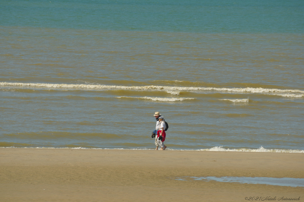 Photography image "Belgian coast" by Natali Antonovich | Photostock.