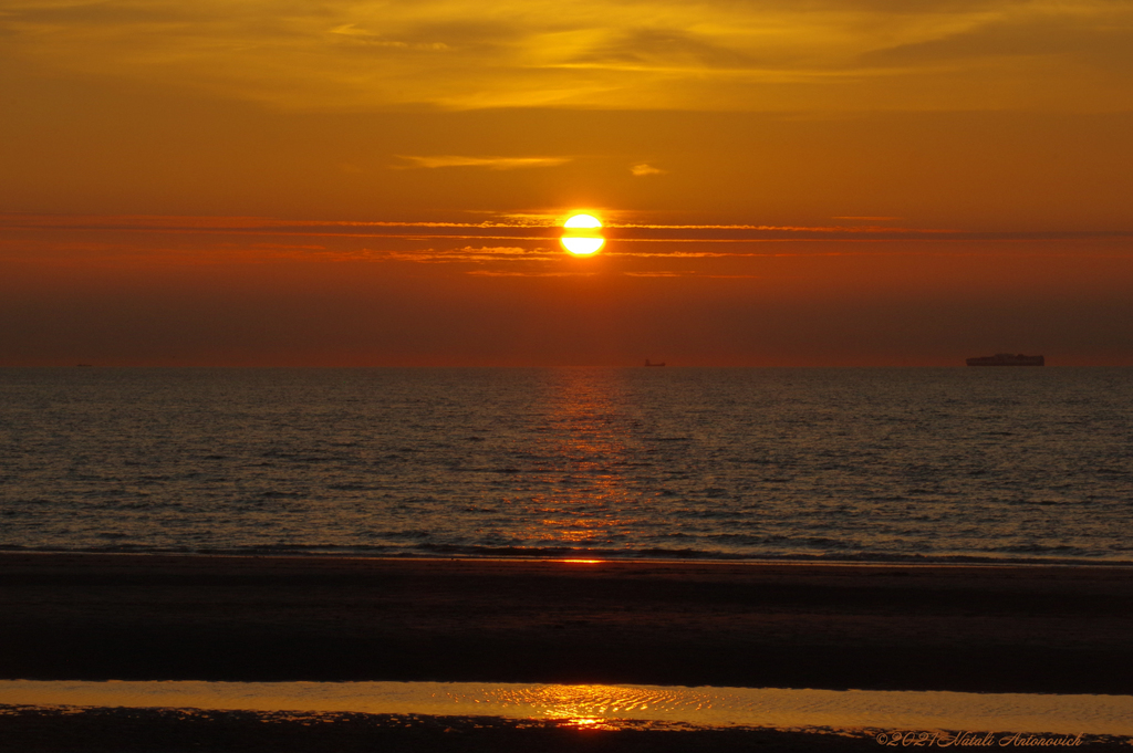 Album  "Belgian coast" | Photography image "Parallels" by Natali Antonovich in Photostock.