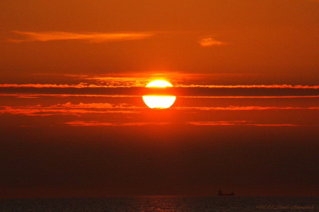 Photography image "Belgian coast" by Natali Antonovich | Photostock.