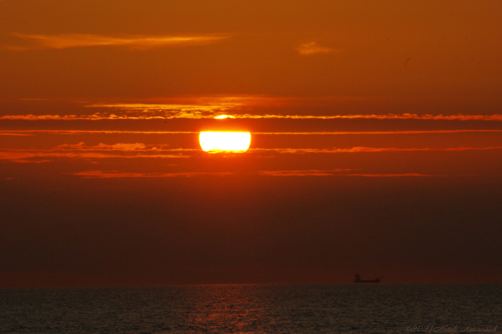 Album "Belgian coast" | Fotografie afbeelding "Parallellen" door Natali Antonovich in Archief/Foto Voorraad.