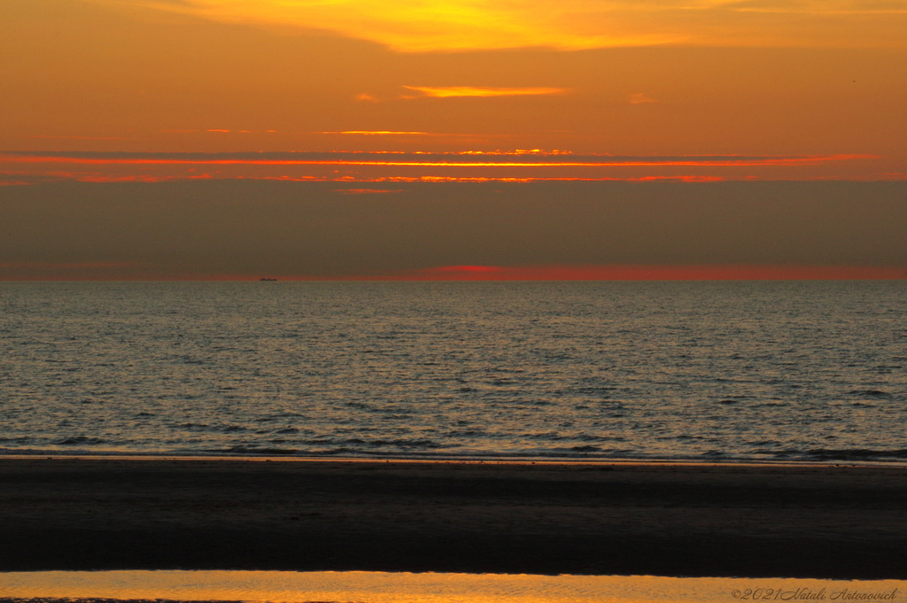 Album "Belgian coast" | Fotografie afbeelding "Celestial mood" door Natali Antonovich in Archief/Foto Voorraad.